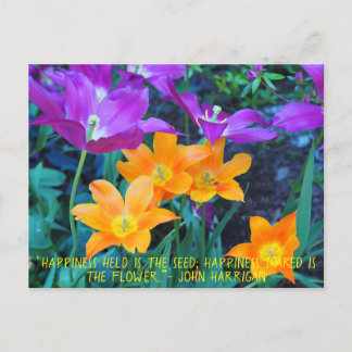 Beautiful Spring Tulips Orange Lila Postkarte