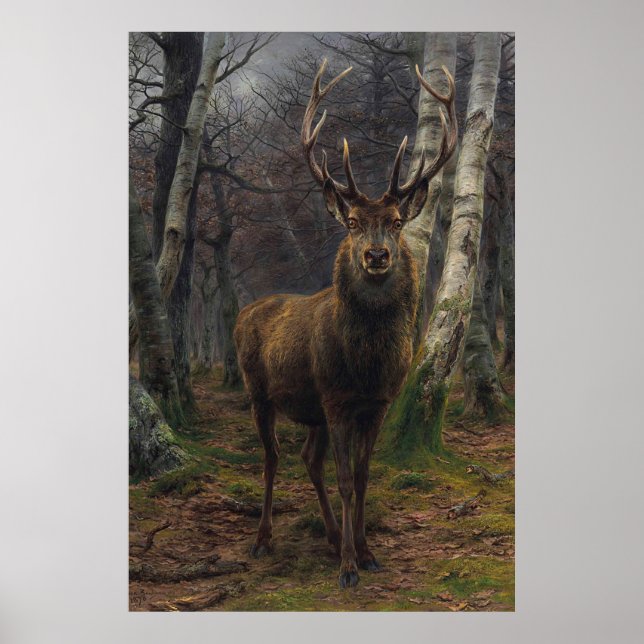 Beautiful Stag Deer - König des Waldes Poster (Vorne)