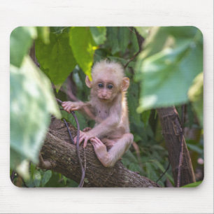 Beautiful Stump Tail Macaque Mousepad