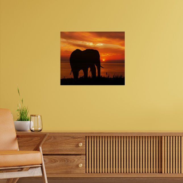 Beautiful Sunset with Silhouette of Elephant Poster (Wohnzimmer 2)
