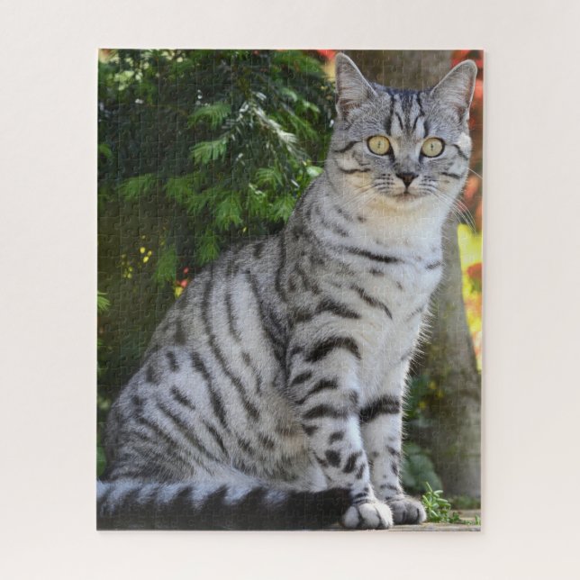 Beautiful Tabby Cat Puzzle (Vertikal)