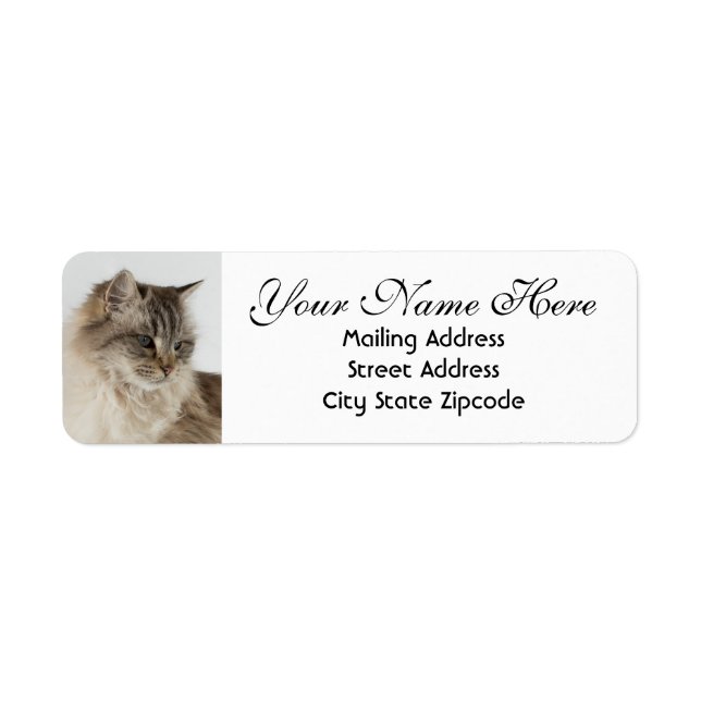 Beautiful Tabby Cat Rücksendeadresse (Vorne)