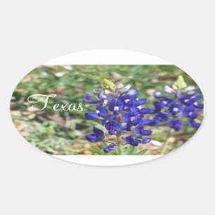 Beautiful Texas Bluebonnet Wildblume Sticker