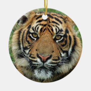 Beautiful Tiger Keramikornament