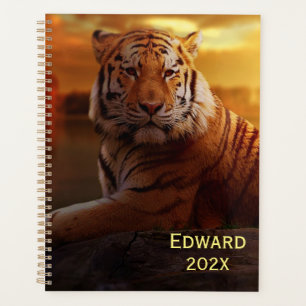 Beautiful Tiger Planer