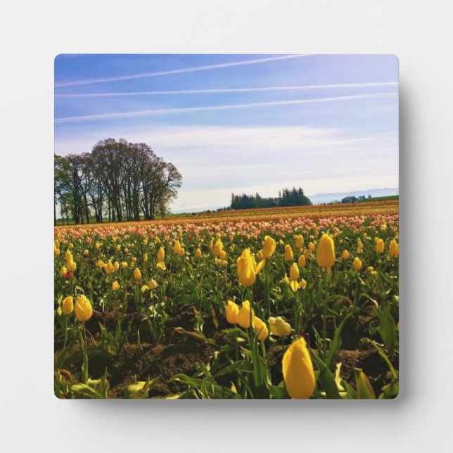 Beautiful Tulip Field Oregon Fotoplatte (Vorderseite)