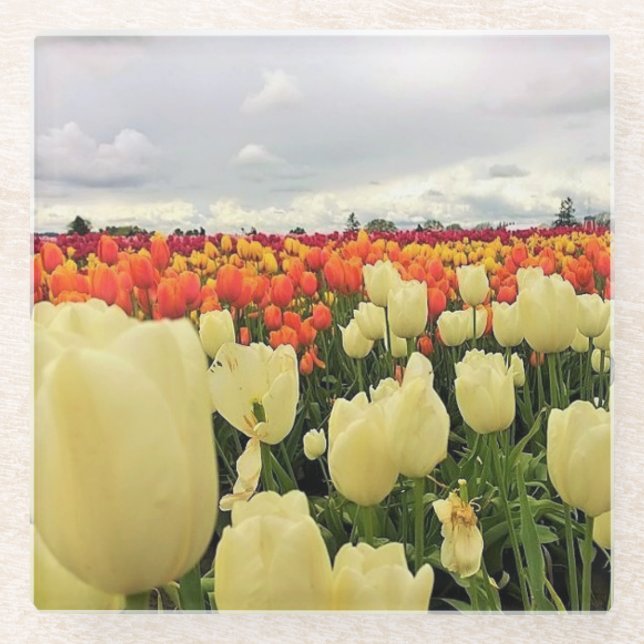 Beautiful Tulip Field Oregon Glasuntersetzer (Vorderseite)