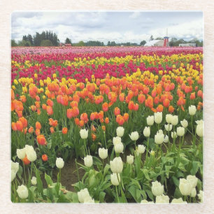 Beautiful Tulip Field Oregon Glasuntersetzer
