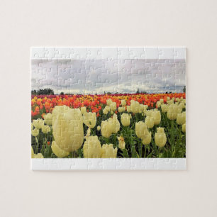Beautiful Tulip Field Oregon Puzzle