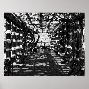 Beautiful View in Central Park, NYC Poster