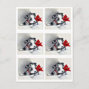 Beautiful Vintag Boston Terrier Puppy Postkarte