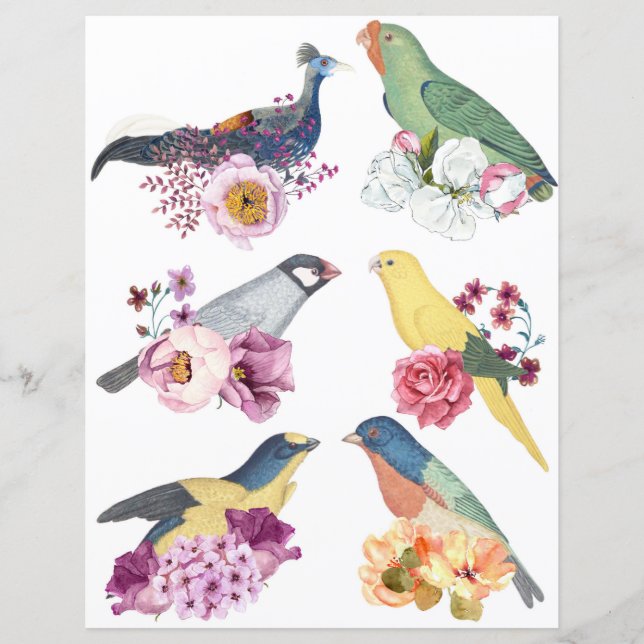 Beautiful vintage birds with flowers scrapbooking (Vorderseite)