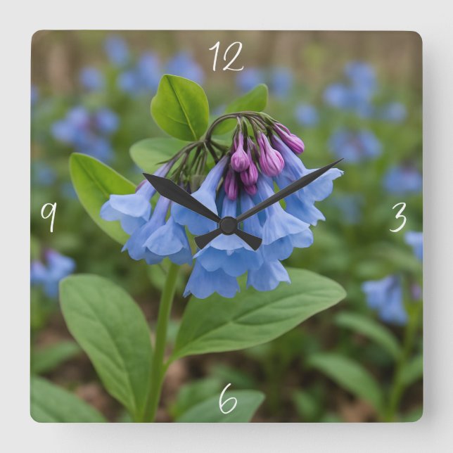 Beautiful Virginia Bluebells Quadratische Wanduhr (Vorderseite)