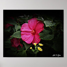 Beautiful Visions Hibisken Floral Wall Art GPsg Poster