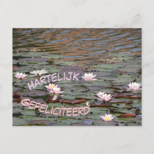 Beautiful Water Lilies Gefeliciteerd Postkarte
