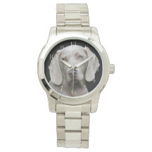 Beautiful Weimaraner