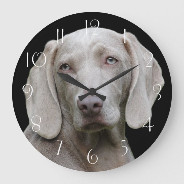 Beautiful Weimaraner Große Wanduhr (Vorderseite)