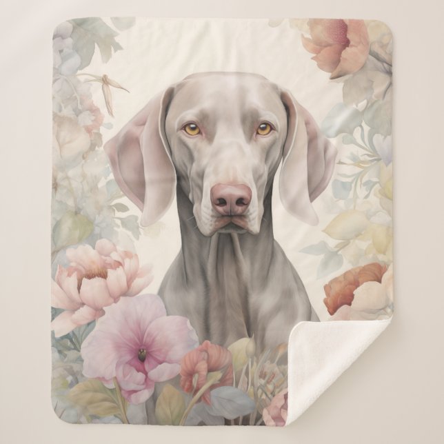 Beautiful Weimaraner Sherpadecke (Vorderseite)