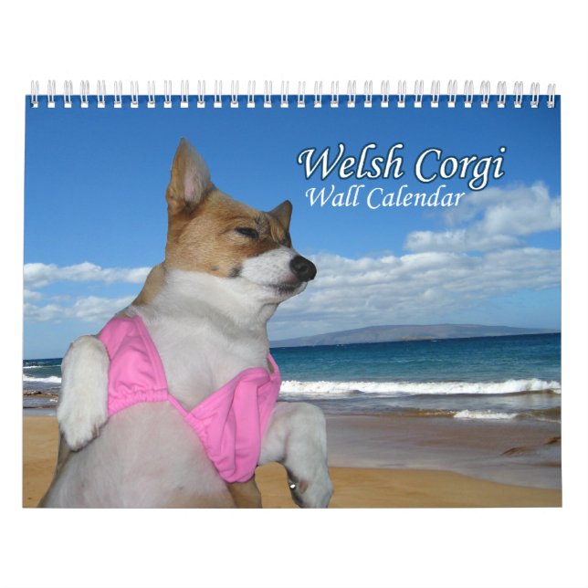 Beautiful Welsh Corgi Kalender (Titelbild)