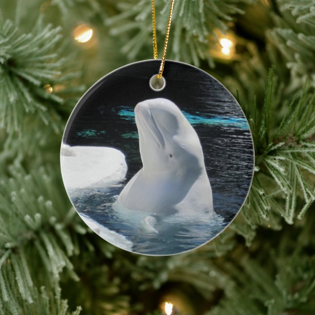 Beautiful White Beluga Whale Holiday Keramik Ornament (Baum)