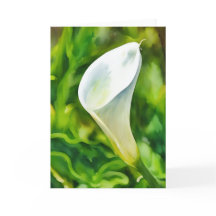 Beautiful White Calla Lido Garden