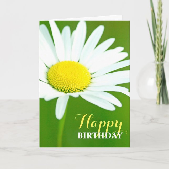Beautiful White Daisy Birthday Karte (Vorderseite)