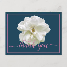 Beautiful White Rose Color Backdrop Chic Thank You Postkarte