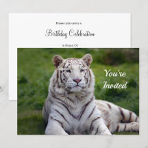 Beautiful White Tiger Foto Geburtstag