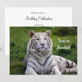 Beautiful White Tiger Foto Geburtstag Einladung