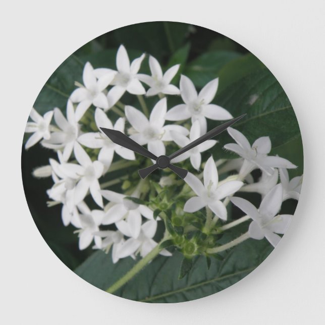 Beautiful White Tropical Flowers Wall Clock Große Wanduhr (Vorderseite)