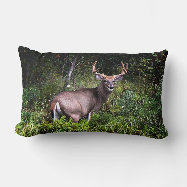 Beautiful Whitetail Buck Lumbar Pillow Lendenkissen (Vorderseite)