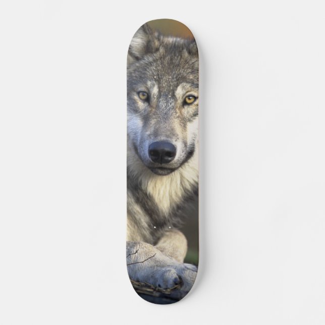 Beautiful Wolf Skateboard (Vorderseite)