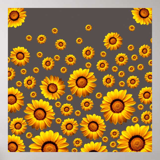 Beautiful yellow flowers on gray background poster (Vorne)