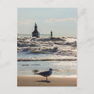 Beauty and Force Postcard Postkarte