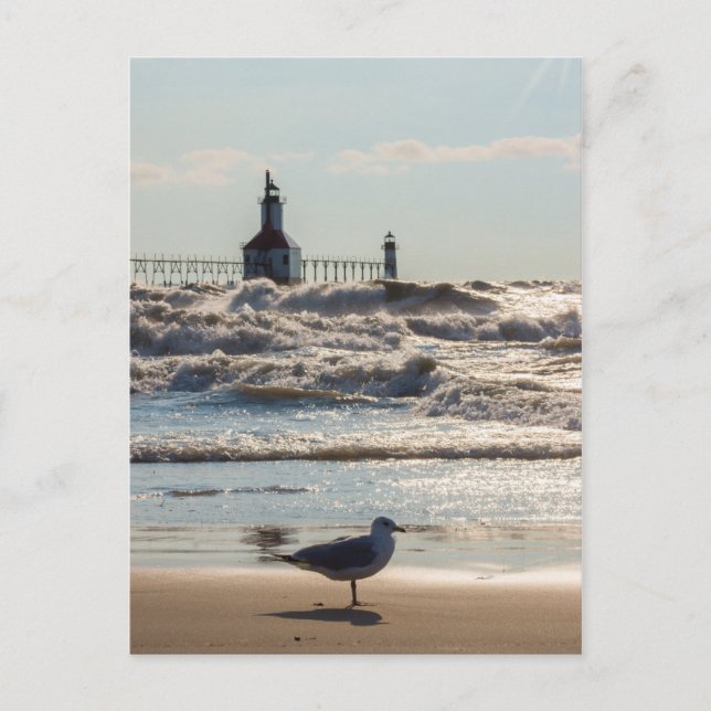 Beauty and Force Postcard Postkarte (Vorderseite)