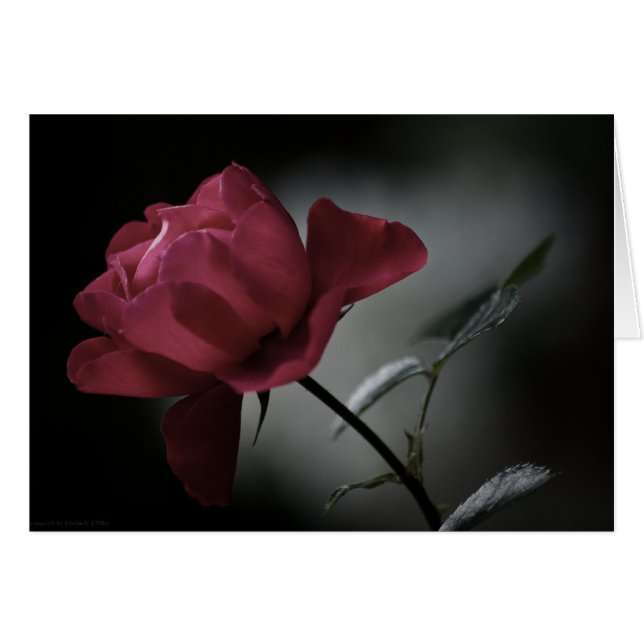 Beauty Card der Liebe (Vorderseite (Horizontal))