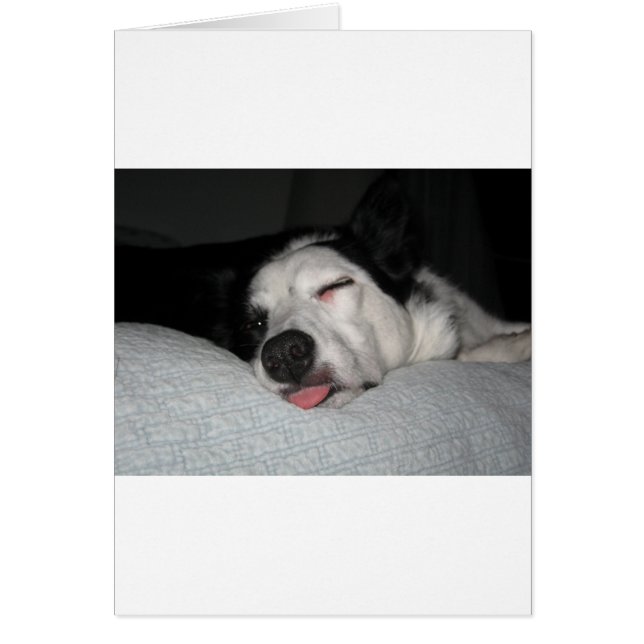 Beauty-Erholung (Vorne)