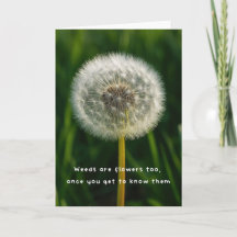 Beauty eye beholder dandelion weed quote unique
