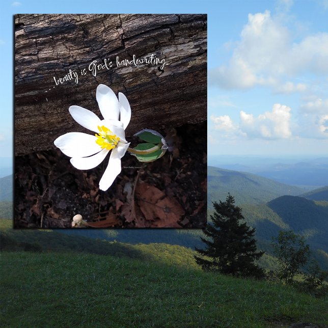 BEAUTY GOD'S HANDWRITING EMERSON EARTHY LEINWANDDRUCK (Von Creator hochgeladen)