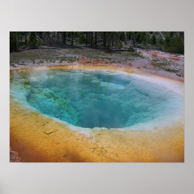 Beauty Hot Springs Poster (Vorne)