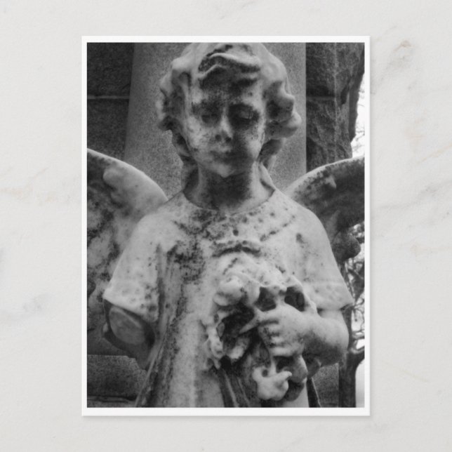 Beauty, Kabinettkarte Postkarte (Vorderseite)