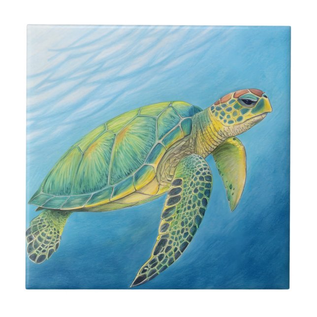 Beauty of the turtle fliese (Vorderseite)