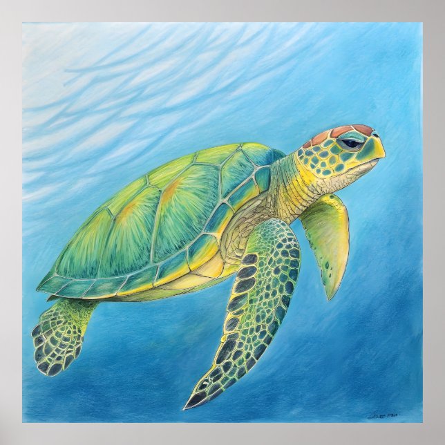 Beauty of the turtle poster (Vorne)