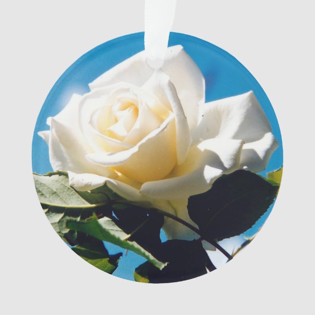 Beauty Ornament (Vorderseite)