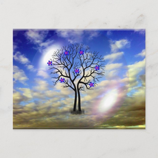 Beauty Post Card Postkarte (Vorderseite)