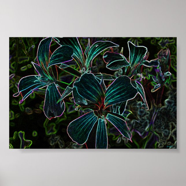 beauty poster (Vorne)