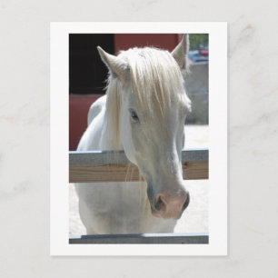 Beauty Postkarte