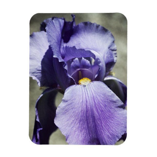 Beauty Premium Magnet (Vertikal)