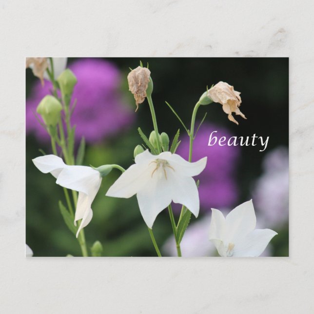 Beauty-Produkte Postkarte (Vorderseite)