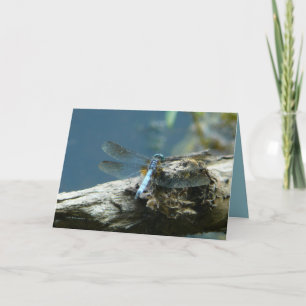 Beauty Remains Karte